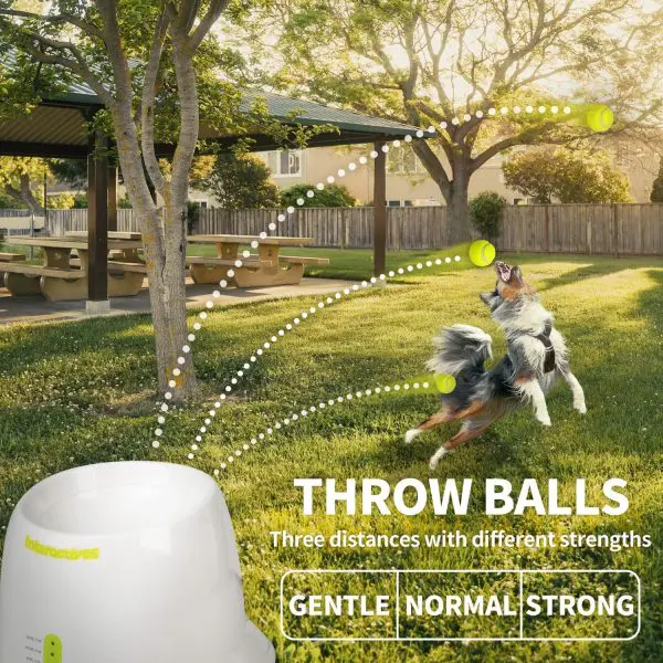 Lawn tennis ball throwing hot sale machine