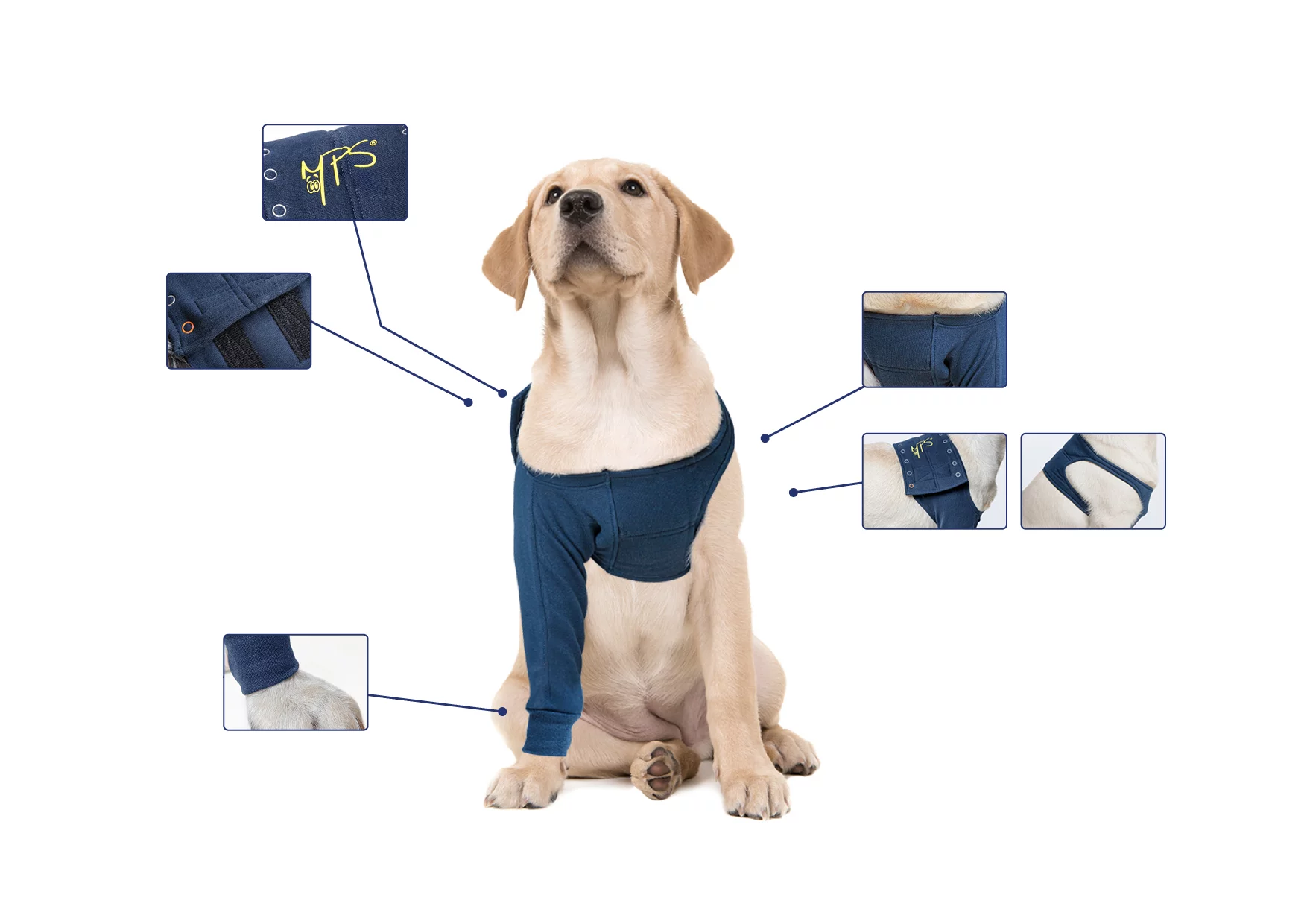 MPS - Veterinary Range Single Sleeve DOG