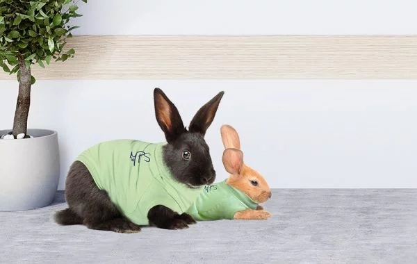 MPS - Veterinary Range Shirt Rabbit - Image 8