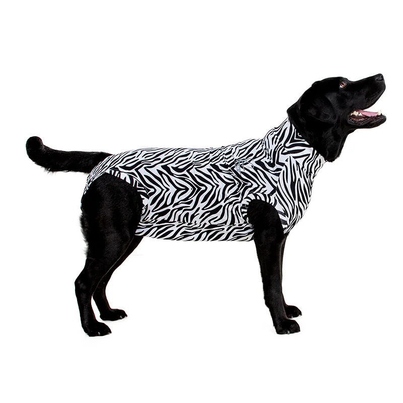 MPS - Veterinary Range Shirt DOG