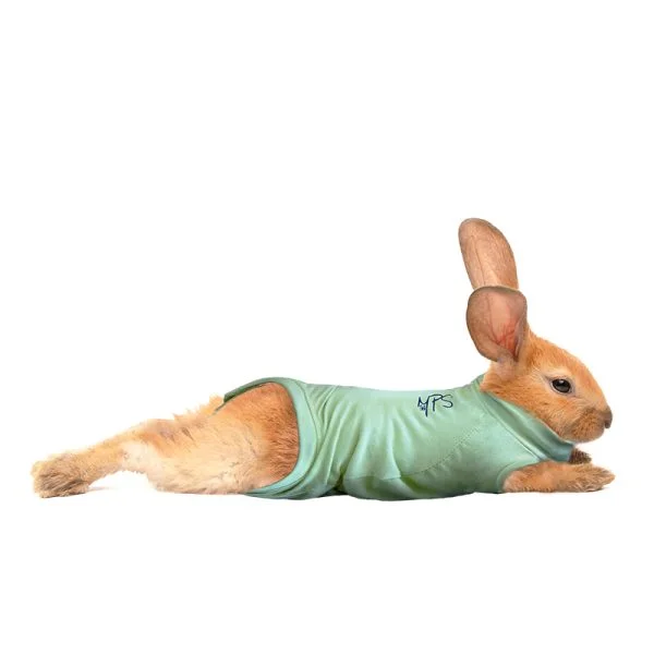 MPS - Veterinary Range Shirt Rabbit - Image 11