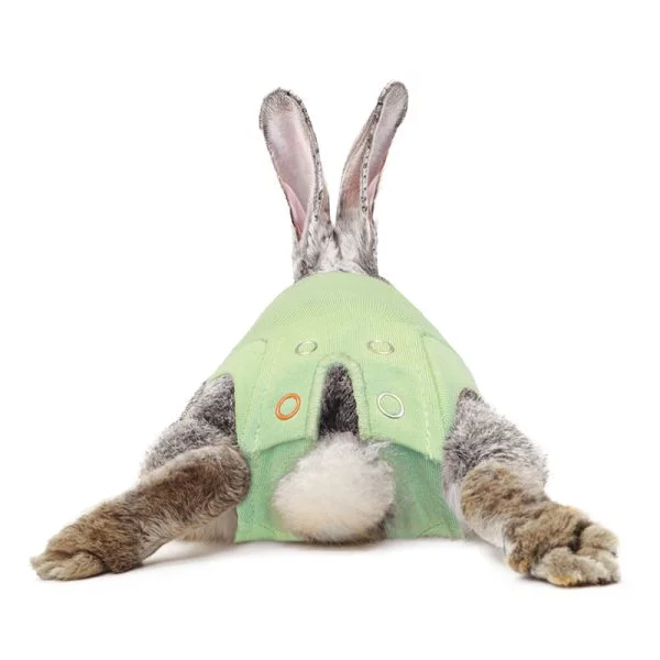 MPS - Veterinary Range Shirt Rabbit - Image 2