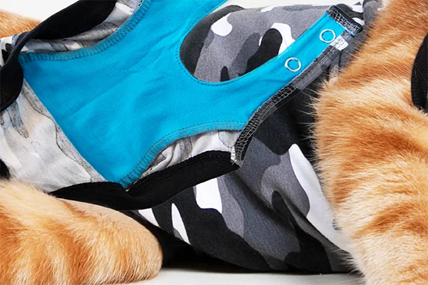 Suitical - at home Recovery Suit - CAT - TailMe - Keeping a tail on your  pets.