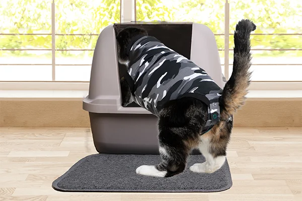 Suitical - at home Recovery Suit - CAT - Image 12