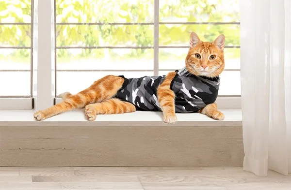 Suitical Recovery Suit for Cats