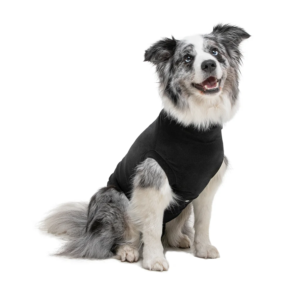 Suitical - At home Recovery Suit - DOG - TailMe - Keeping a tail on your  pets.