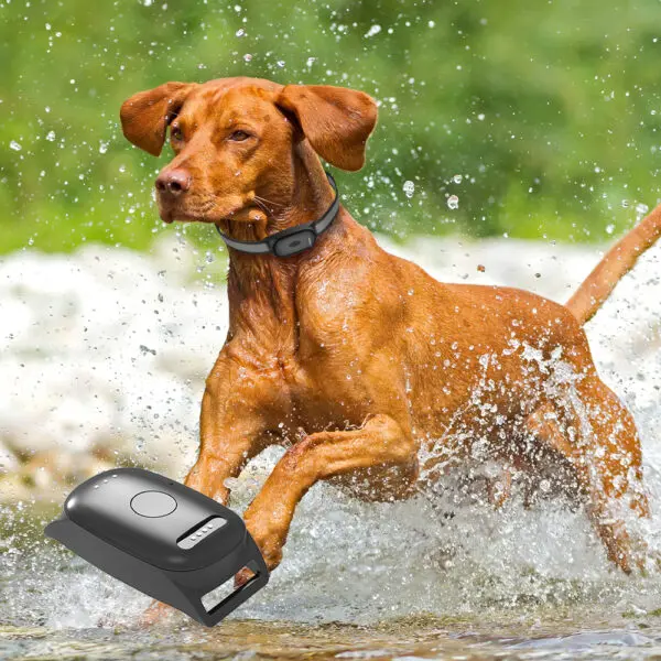 Infinity Pro GPS Pet Tracker - Image 19