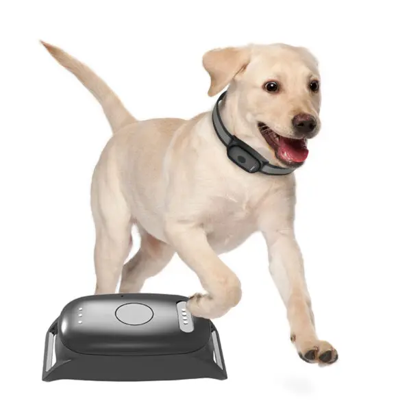 Infinity Pro GPS Pet Tracker - Image 21