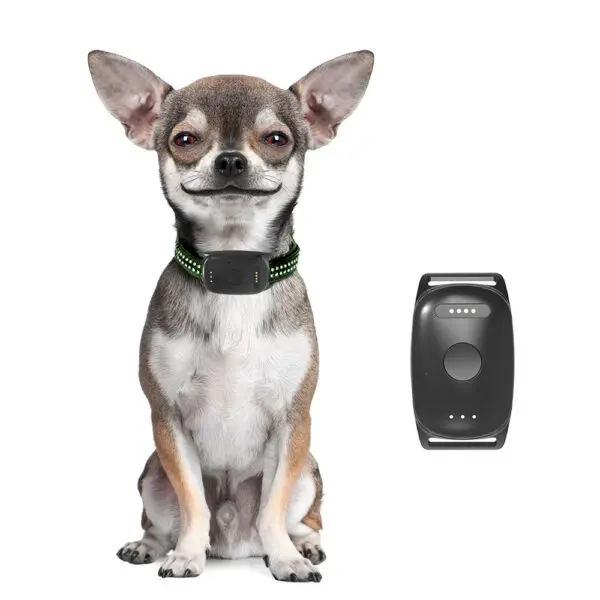 Infinity Pro GPS Pet Tracker - Image 15