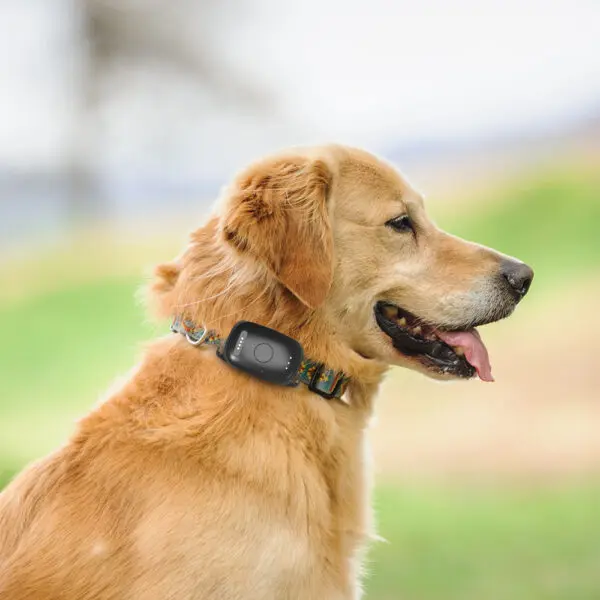 Infinity Pro GPS Pet Tracker - Image 16